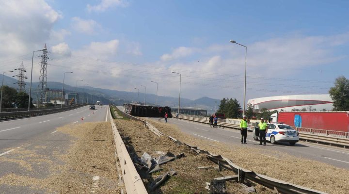 Samsun’da Sürücüsünü arı sokan TIR, devrildi