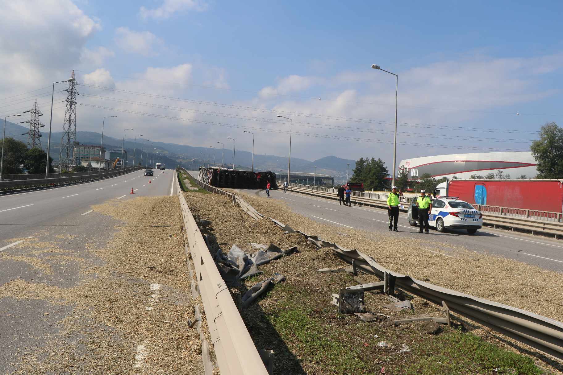 Samsun’da Sürücüsünü arı sokan TIR, devrildi