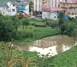 Rize’de Çay Tarlası Göle Döndü