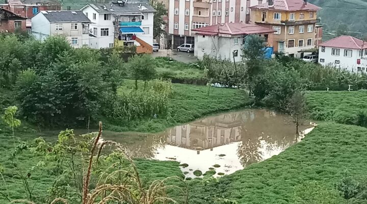 Rize’de Çay Tarlası Göle Döndü