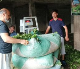 KİM SUÇLU ? GÖREVİNİ KÖTÜYE KULLANAN 2 ÇAYKUR MEMUR’UMU, ÇAY CÜZDANLARI İPTAL EDİLEN 600 MÜSTAHSİL Mİ ?