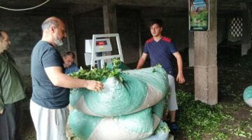 KİM SUÇLU ? GÖREVİNİ KÖTÜYE KULLANAN 2 ÇAYKUR MEMUR’UMU, ÇAY CÜZDANLARI İPTAL EDİLEN 600 MÜSTAHSİL Mİ ?