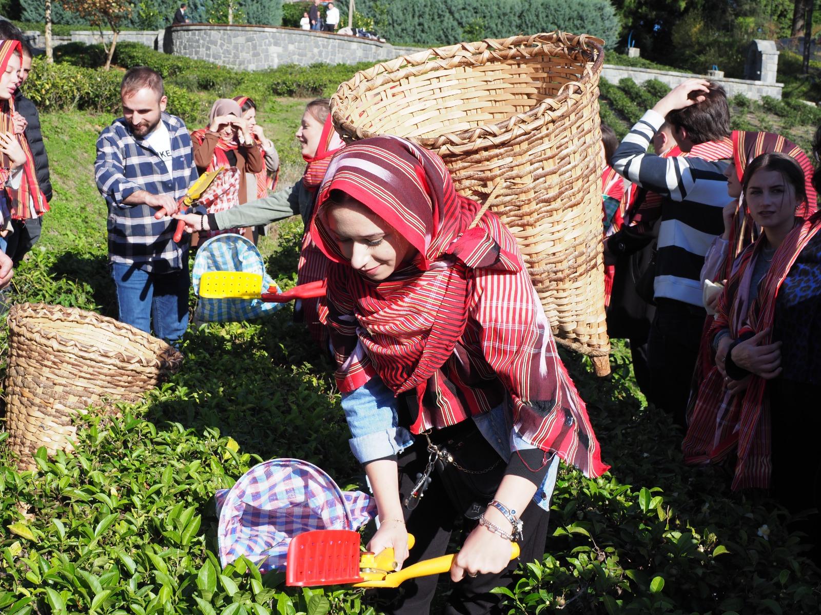 Makedonyalı Türk Gençler,Rize ve Çayı keşfetti