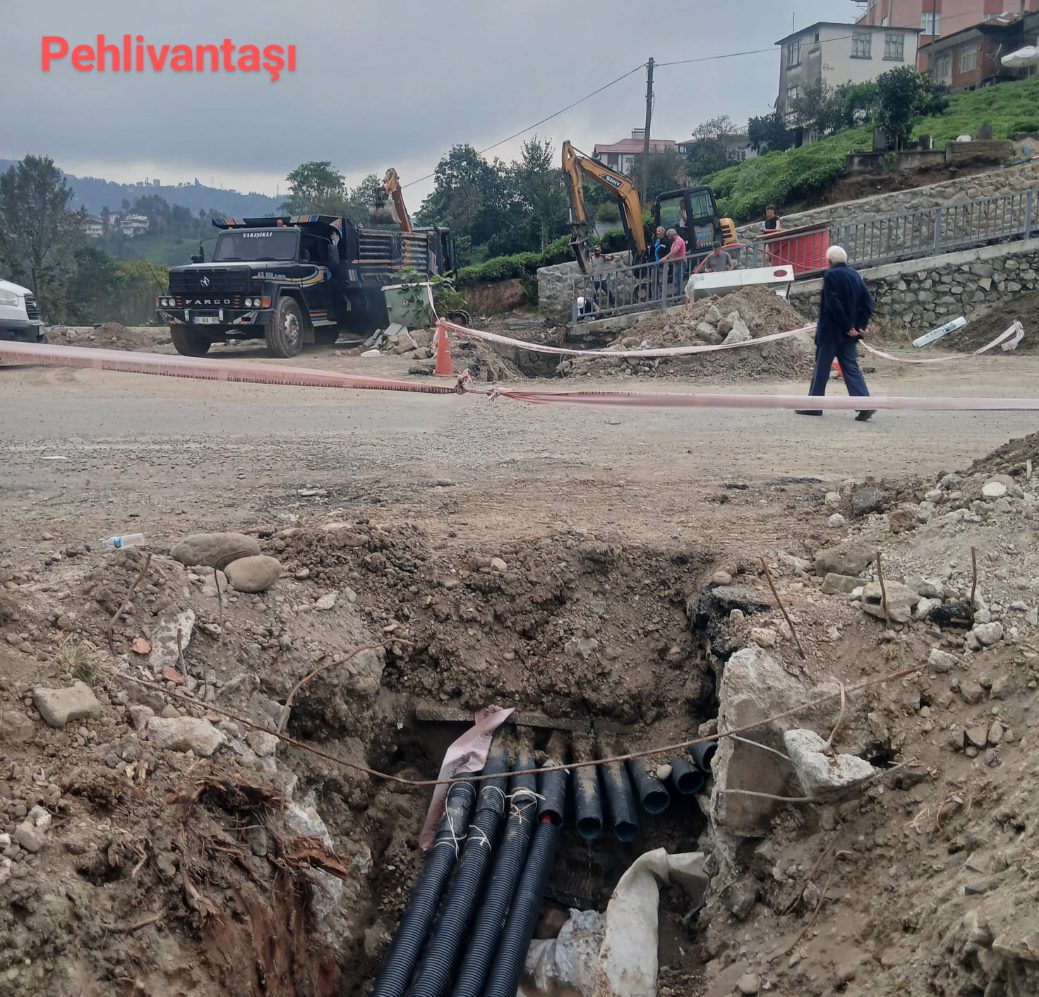 Rize’de Karayoluna döşenen elektrik hattı,Tedirgin ediyor