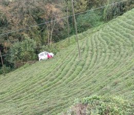 Rize’de araç ,30 Metre Takla Atarak çay tarlasına uçtu